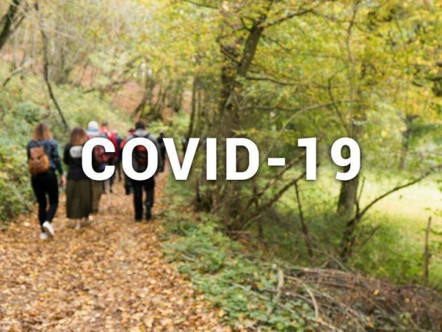 Covid 19 800x600