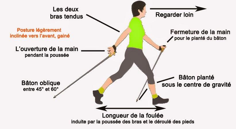 La bonne posture en marche nordique