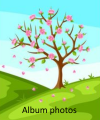 Albums photos